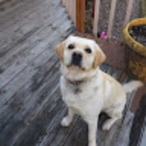 Meet your Posher, Maria